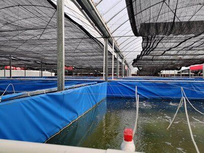 Latest company news about 美的宝电气公司农业热泵：赋能现代农业，开启节能新篇章