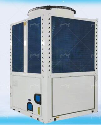 Prezzo buono Risparmio energetico del 30%+, resistenza alla corrosione e all'alta umidità, garantendo una produzione annua stabile, pompa di calore EVI per l'acquacoltura e l'allevamento in linea